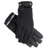 Ssg All Weather Winter Gloves