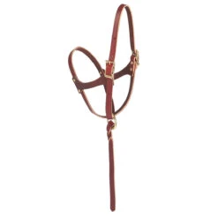 Weaver Leather Weaver Figure 8 Foal Halter 5/8 Suckling -Lemie Horse Care Shop 10 0190 c1110 b927a562 28ff 4d39 bf24 0eb8a87b3ad4