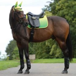 Weatherbeeta Prime Ombre Dressage Saddle Pad -Lemie Horse Care Shop 1002677w c1141 alt1