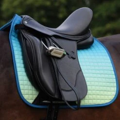 Weatherbeeta Prime Ombre Dressage Saddle Pad -Lemie Horse Care Shop 1002677w c1168