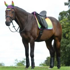 Weatherbeeta Prime Ombre Dressage Saddle Pad -Lemie Horse Care Shop 1002677w c1332 alt1