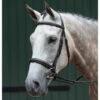 Collegiate Essential Fancy Stitched English Bridle -Lemie Horse Care Shop 1003408w c1109