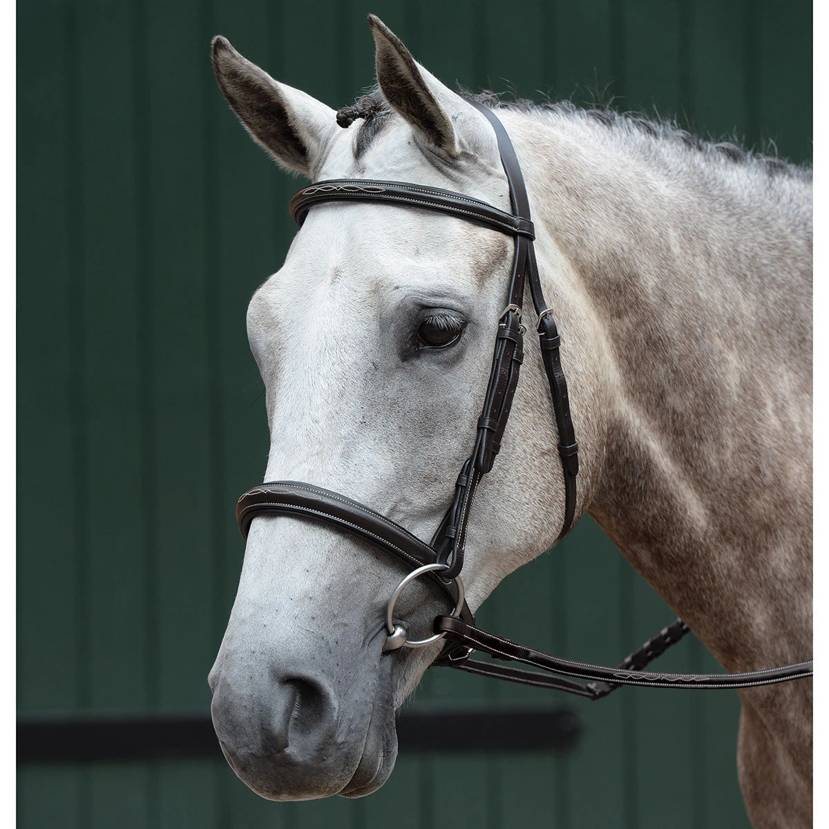 Collegiate Essential Fancy Stitched English Bridle 3 Collegiate Essential Fancy Stitched English Bridle