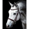 Schockemohle Montreal Select Anatomic Bridle -Lemie Horse Care Shop 1101 00050 c1109