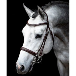 Schockemohle Montreal Select Anatomic Bridle