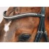 Schockemohle Select And Mix Diamond Browband -Lemie Horse Care Shop 1102 00079 c1154