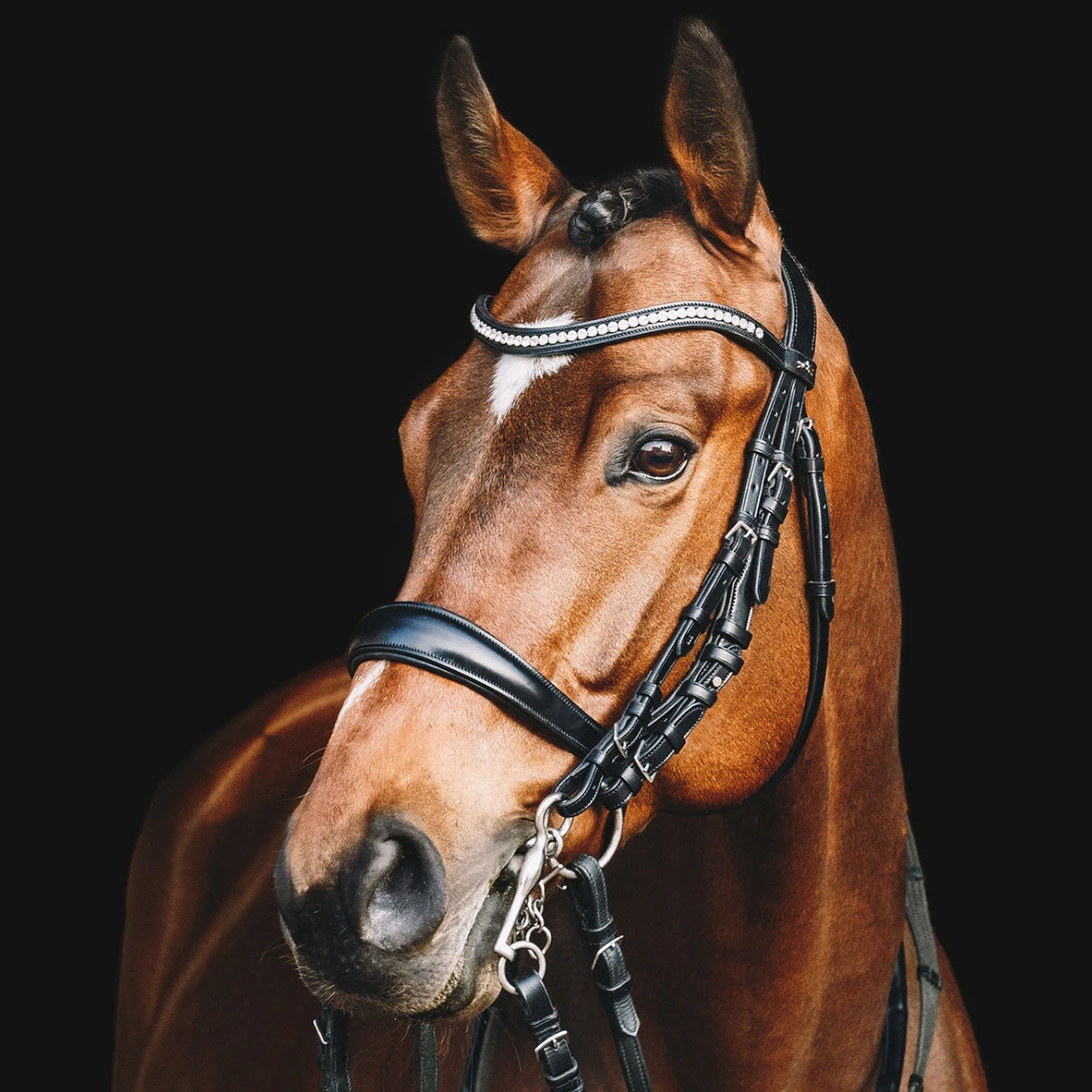 Schockemohle Equitus Gamma Anatomic Dressage Double Bridle 3 Schockemohle Equitus Gamma Anatomic Dressage Double Bridle