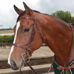 Tory English Bridle Flat Hunt With Plain Reins
