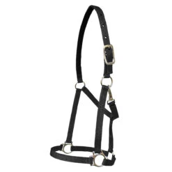 Walsh Nylon Halter .75 Inch -Lemie Horse Care Shop 1136 c1105 816e6a6c fbde 4f2c 9b3a 0a029fa1e612