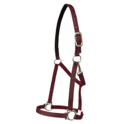 Walsh Nylon Halter .75 Inch -Lemie Horse Care Shop 1136 c1110