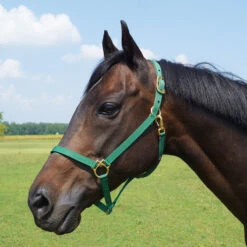 Walsh Nylon Halter .75 Inch -Lemie Horse Care Shop 1136 c1133