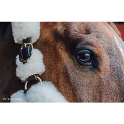Perris Sheepskin Shipping Halter -Lemie Horse Care Shop 125h c1126 alt2
