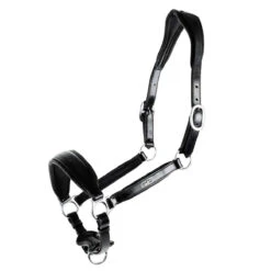 Schockemohle Fremont Anatomic Leather Halter -Lemie Horse Care Shop 1310 00012 c1105 alt3