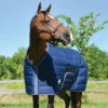 Country Pride Squall Heavyweight Stable Blanket -Lemie Horse Care Shop 19 3H c1146 efb295c4 60cf 4937 a30b 98fa164628c5