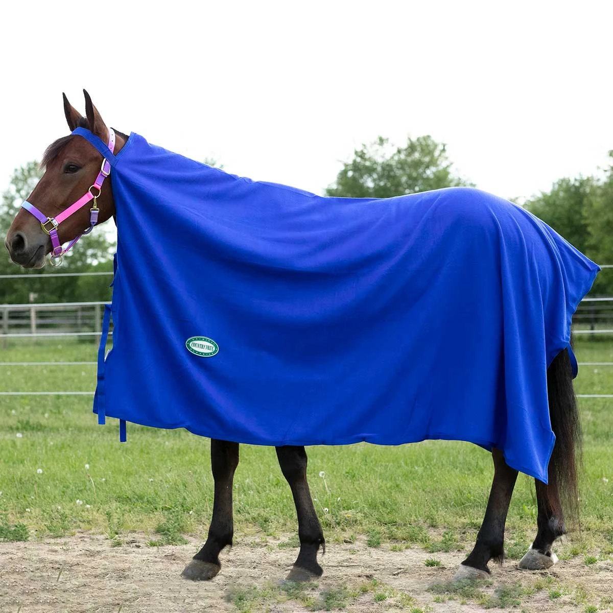 Country Pride Polar Fleece Square Cooler 5 Country Pride Polar Fleece Square Cooler - Image 3