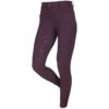 LeMieux Freya Luxe Full Seat Ladies Breech - SS Ltd Edition -Lemie Horse Care Shop 2244ls ss c1121