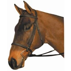 Wintec Synthetic English Bridle Reg Noseband