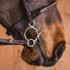 Fager Gustav Sweet Iron Universal Baby Fulmer Bit - Test Ride Bit -Lemie Horse Care Shop 22gust u 4