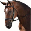 M Toulouse Euro Dressage Bridle -Lemie Horse Care Shop 3014m c1105