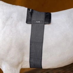 EquiFit GelCompression BackPack