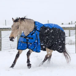 Tough 1 Bellyband 1200D Turnout Blanket With Snuggit Neck 250 Gm -Lemie Horse Care Shop 32 12250 c1106 alt1