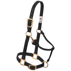 Weaver Leather Weaver Nylon Halter Weanling Pony Size -Lemie Horse Care Shop 35 1032 c1105 19b4f246 fb7e 418d a642 46c43d39549f