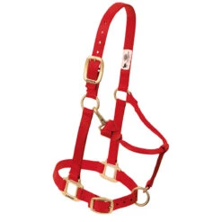 Weaver Leather Weaver Nylon Halter Weanling Pony Size -Lemie Horse Care Shop 35 1032 c1158
