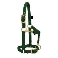 Weaver Leather Weaver Miniature Horse Adjustable Nylon Halter Large -Lemie Horse Care Shop 35 4805 c1129