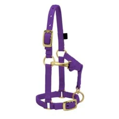 Weaver Leather Weaver Miniature Horse Adjustable Nylon Halter Large -Lemie Horse Care Shop 35 4805 c1157