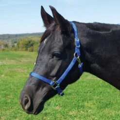 Weaver Leather Weaver Nylon Halter Average - Arabian Size -Lemie Horse Care Shop 35 5035 c1106