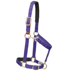 Weaver Leather Weaver Breakaway Padded Nylon Halter -Lemie Horse Care Shop 35 6075 c1157