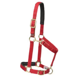Weaver Leather Weaver Breakaway Padded Nylon Halter -Lemie Horse Care Shop 35 6075 c1158