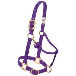 Weaver Leather Weaver Original Yearling Horse Nylon Halter -Lemie Horse Care Shop 35 7033 c1157