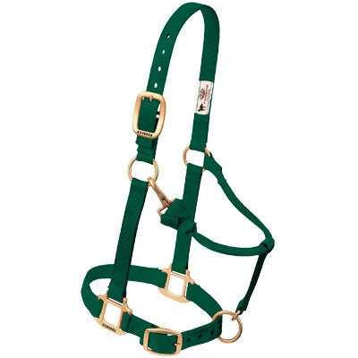 Weaver Leather Weaver Nylon Halter Average Horse Size 7 Weaver Leather Weaver Nylon Halter Average Horse Size - Image 5