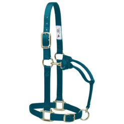 Weaver Leather Weaver Nylon Halter Average Horse Size 26 Weaver Leather Weaver Nylon Halter Average Horse Size -Lemie Horse Care Shop 35 7035 c1168 1ac34410 e419 44f8 ac2c a2815738a9c3