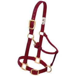 Weaver Leather Weaver Original Large Horse Nylon Halter -Lemie Horse Care Shop 35 7036 c1110