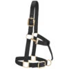 Weaver Leather Weaver Draft Horse Halter Nylon - Average Draft Size 2 Weaver Leather Weaver Draft Horse Halter Nylon - Average Draft Size -Lemie Horse Care Shop 35 7635 c1105