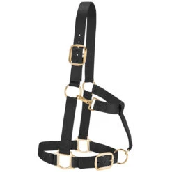 Weaver Leather Weaver Draft Horse Halter Nylon - Average Draft Size -Lemie Horse Care Shop 35 7635 c1105 4a97225d 0d2d 4003 8519 9d1ec7cf782f