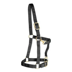 Weaver Leather Weaver Draft Horse Halter Nylon - Large Draft -Lemie Horse Care Shop 35 7636 c1105 61a5cd4e d85a 48a8 bafc 0b012656e7ed