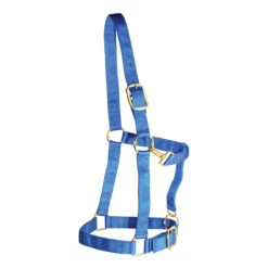 Weaver Leather Weaver Draft Horse Halter Nylon - Large Draft -Lemie Horse Care Shop 35 7636 c1106