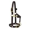 Weaver Leather Weaver Miniature Horse Nylon Halter - Average Size -Lemie Horse Care Shop 3760 c1105 188da7f7 a168 46c1 bf30 515aec664a4c