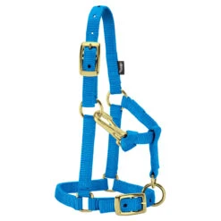 Weaver Leather Weaver Miniature Horse Nylon Halter - Average Size -Lemie Horse Care Shop 3760 c1130