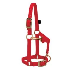 Weaver Leather Weaver Miniature Horse Nylon Halter - Average Size -Lemie Horse Care Shop 3760 c1158