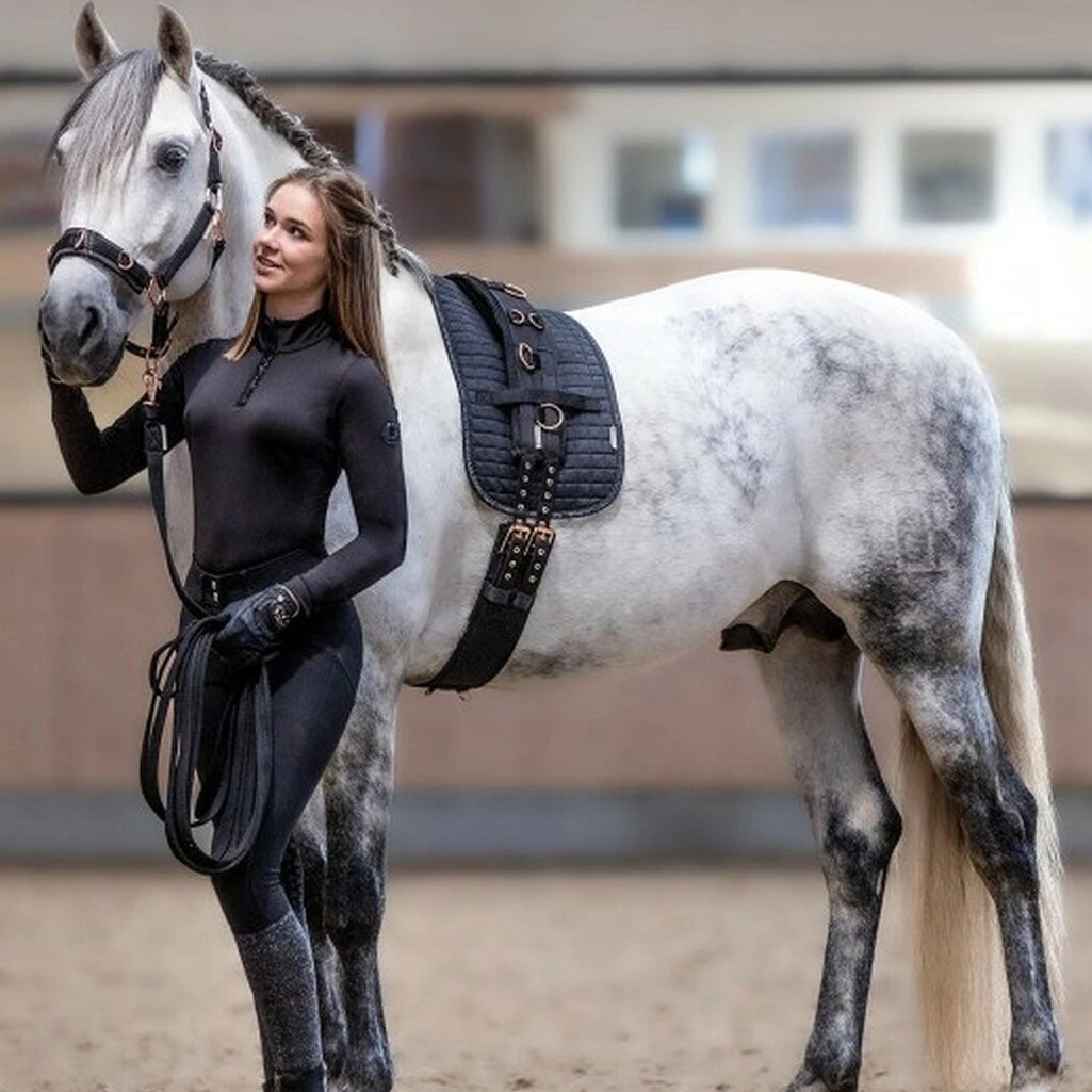 Waldhausen Quilted Surcingle Pad 4 Waldhausen Quilted Surcingle Pad - Image 2