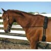 Camelot Neck Stretcher Elastic -Lemie Horse Care Shop 405034 1