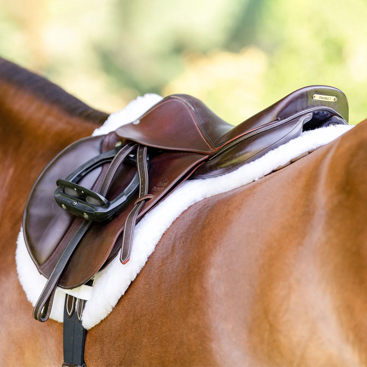 Equifit Essential Hunter Pad 5 Equifit Essential Hunter Pad - Image 3