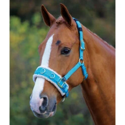 Shires Fleece Lined Lunging Caveson