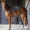Equilibrium Therapy Massage Pad -Lemie Horse Care Shop 433104 1