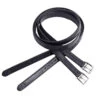 Carl Hester PDS English Stirrup Leathers -Lemie Horse Care Shop 469722 c1105