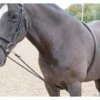 Shires Soft Lunge Aid -Lemie Horse Care Shop 470s 1